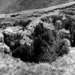 Buttertubs Pass